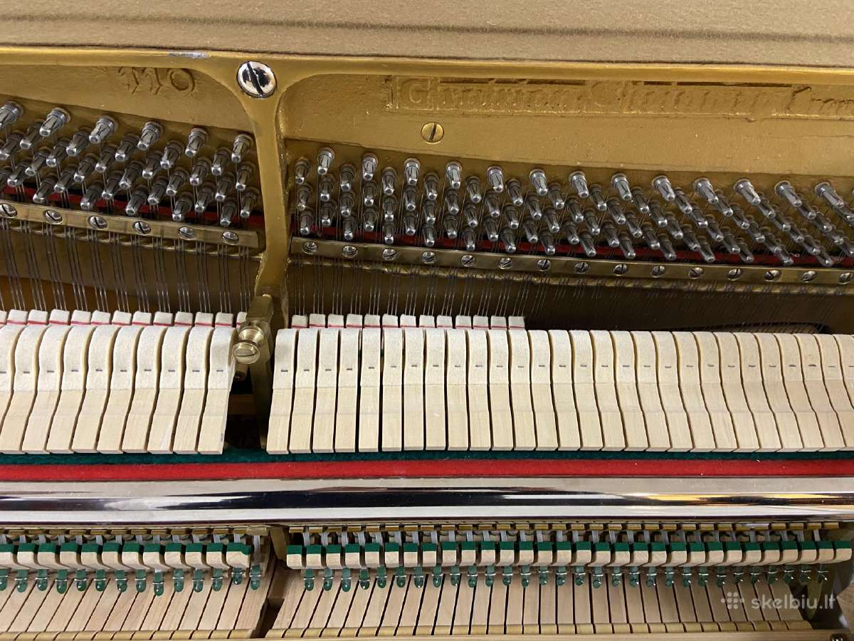 Grotrian Steinweg modell 110 Vokietija (Renner) - nuotraukos Nr. 8
