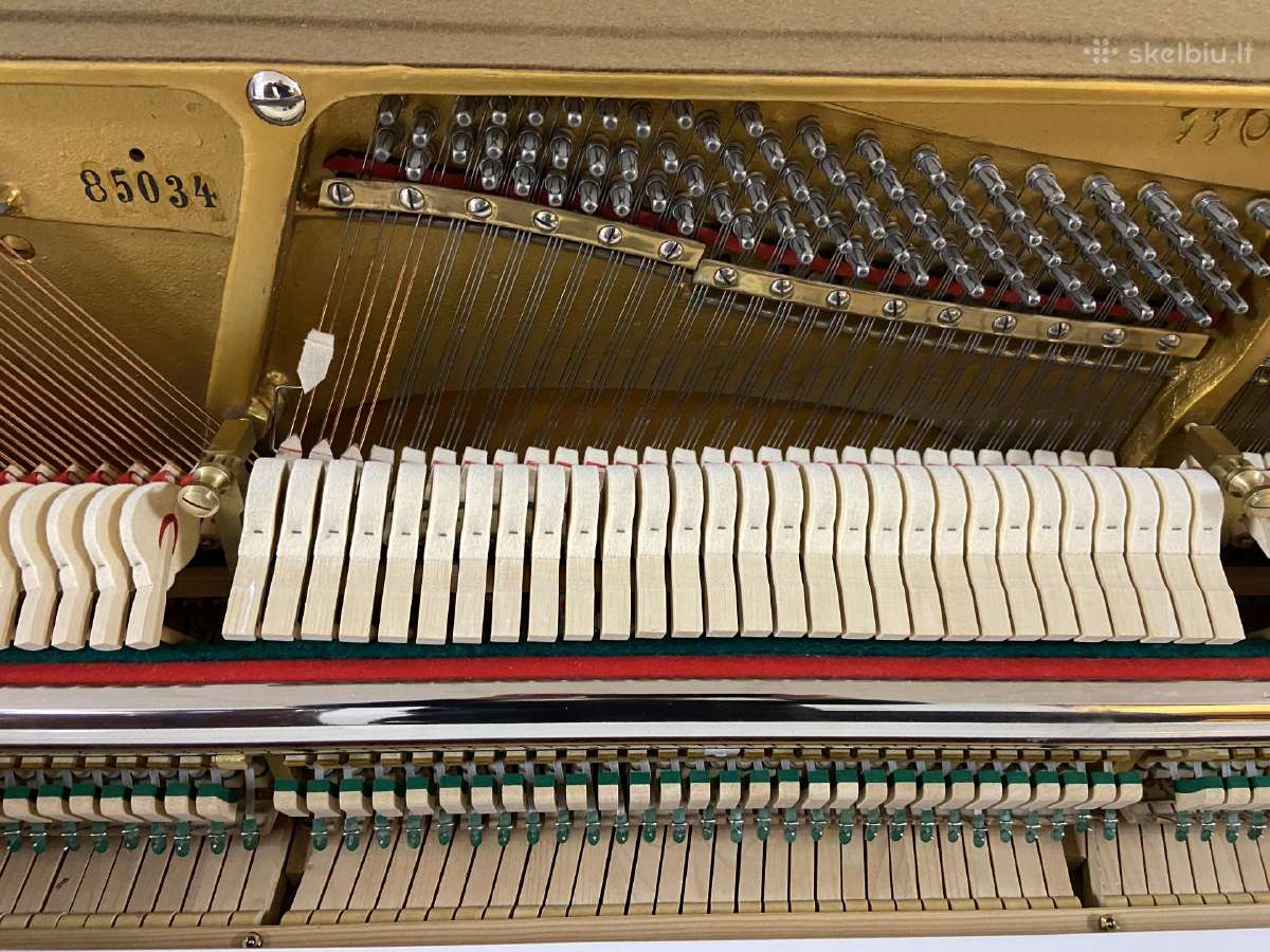 Grotrian Steinweg modell 110 Vokietija (Renner) - nuotraukos Nr. 10