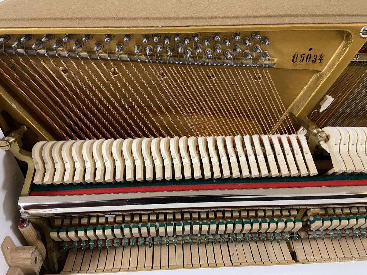 Grotrian Steinweg modell 110 Vokietija (Renner) - nuotraukos Nr. 9