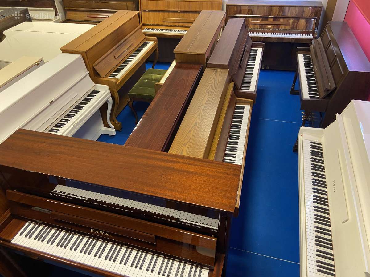 Grotrian Steinweg modell 110 Vokietija (Renner) - nuotraukos Nr. 15