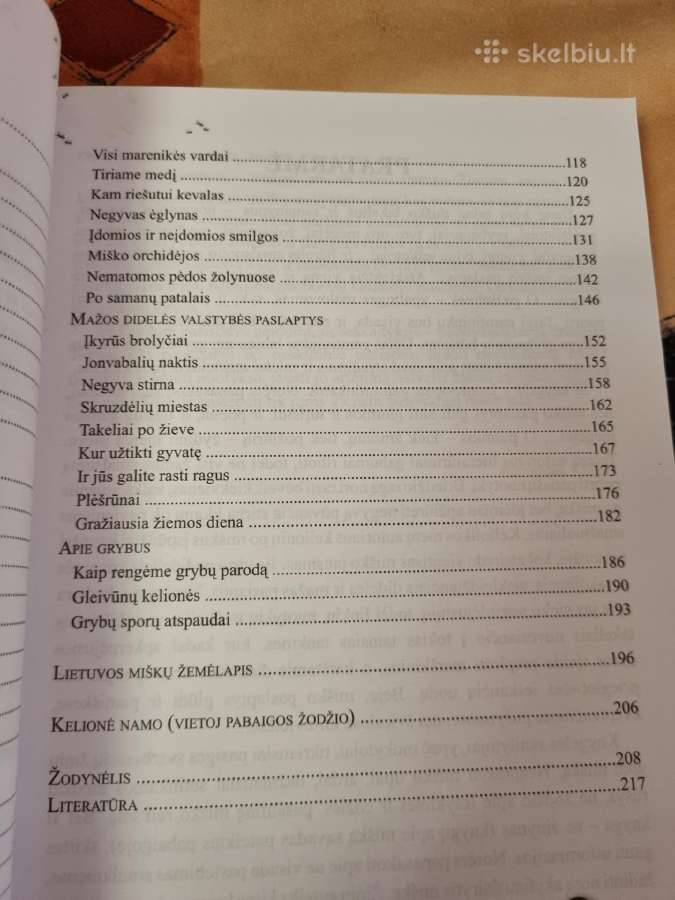 Miško paslaptys - nuotraukos Nr. 4