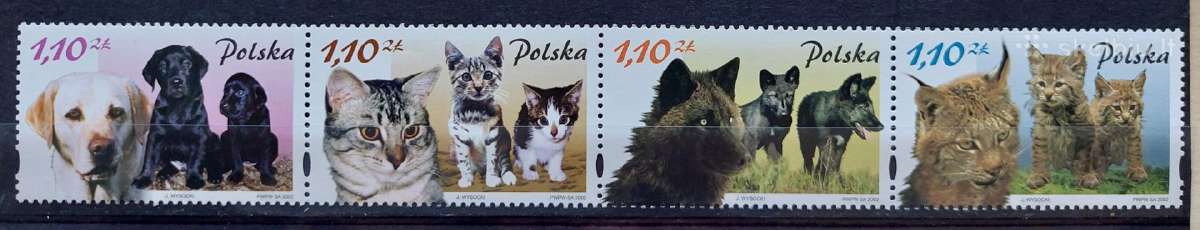 Lenkija 2002 katės,šunis, švarus, Michel 3960-3963