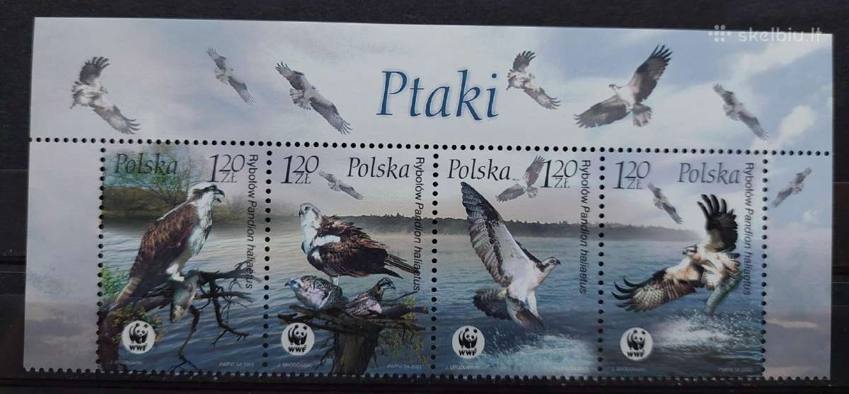Lenkija 2003 Wwf paukščiai, švarus,l Michel 4079-4