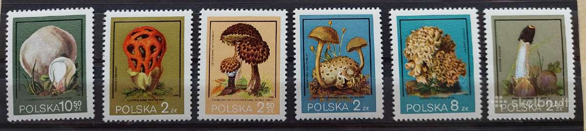 Lenkija 1980 grybai, švarus, Michel 2693-2698