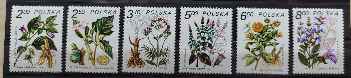 Lenkija 1980 gėles, švarus, Michel 2706-2711