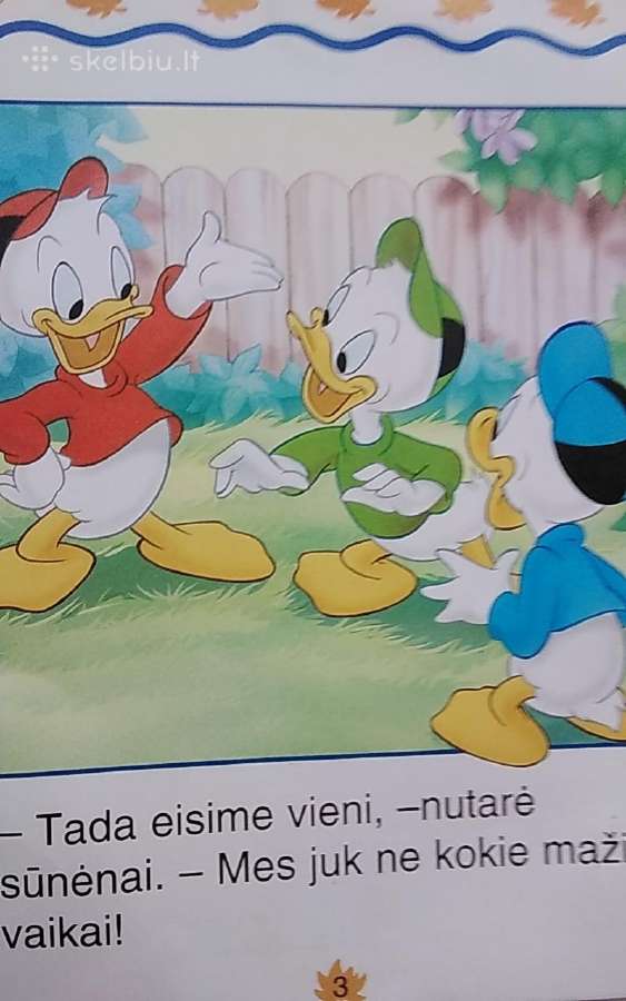 Donaldas seklys. Nr.8 - nuotraukos Nr. 3