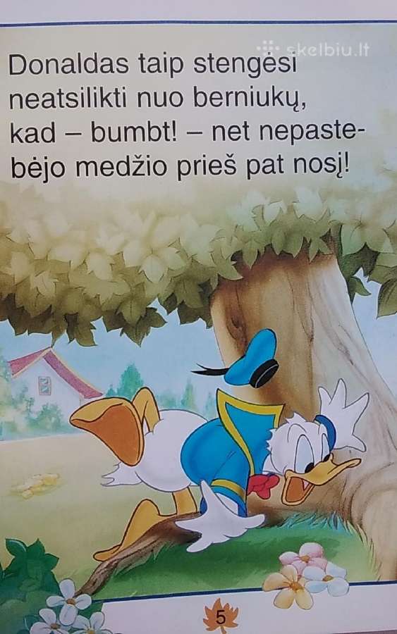 Donaldas seklys. Nr.8 - nuotraukos Nr. 4