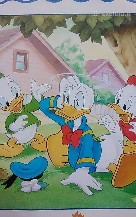 Donaldas seklys. Nr.8 - nuotraukos Nr. 5
