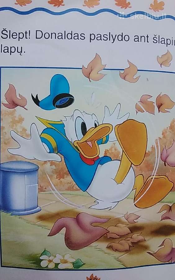 Donaldas seklys. Nr.8 - nuotraukos Nr. 6