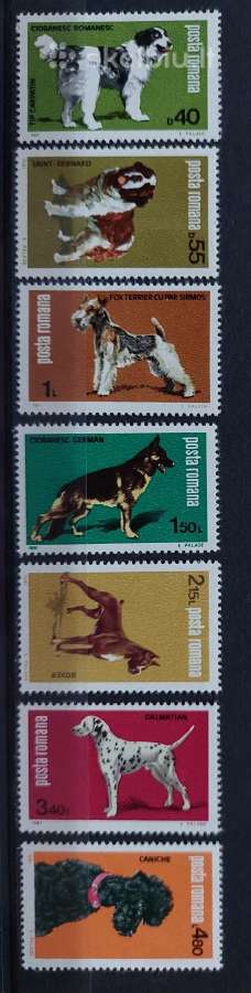 Rumunija 1981 šunis, švarus, Michel 3762-3768