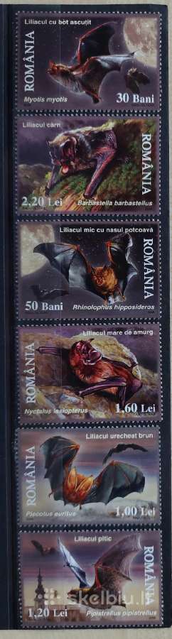 Rumunija 2006 šikšnosparniai, švarus, Michel 6105-