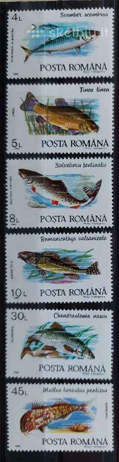 Rumunija 1992 žuvis, švarus, Michel 4784-4789
