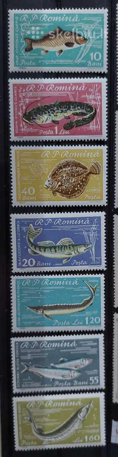Rumunija 1960 žuvis, švarus, Michel 1927-1933