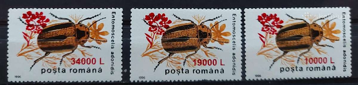 Rumunija 2000 vabzdžiai, švarus, Michel 5496-5498