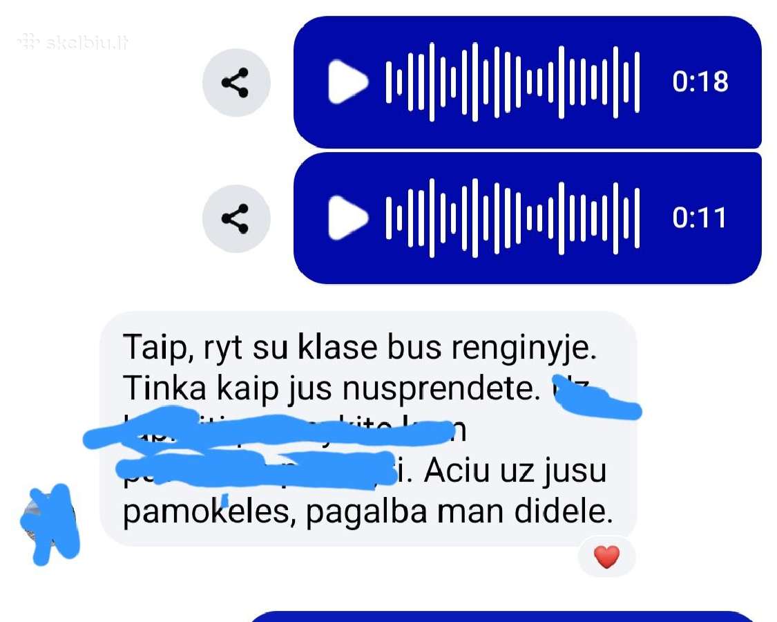Lietuvių kalbos mokytoja korepetitorė - nuotraukos Nr. 24