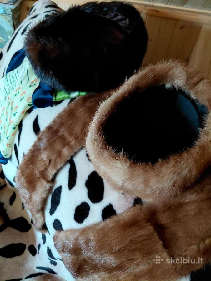 Kailinės beretės ir šalis - nuotraukos Nr. 4