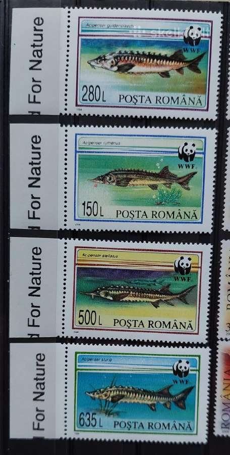Rumunija 1994wwf žuvis, švarus, Michel 5034-5037