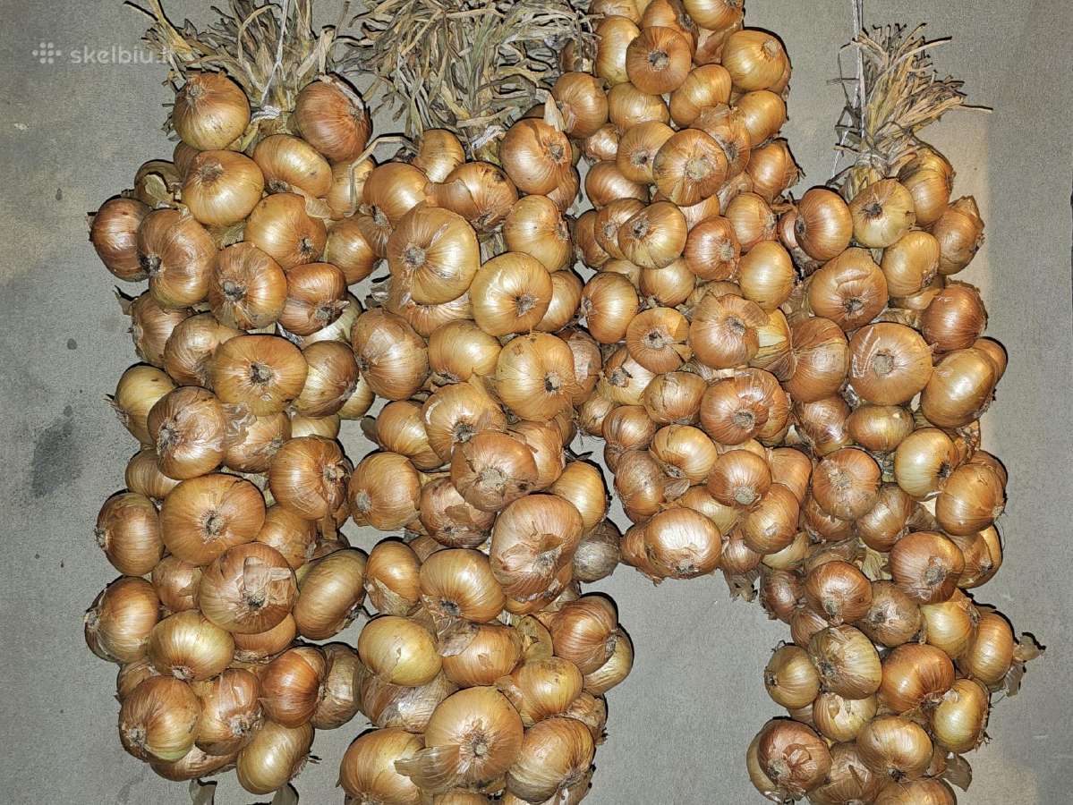Parduodu ekologiškai augintus svogūnus bulves mork - nuotraukos Nr. 4