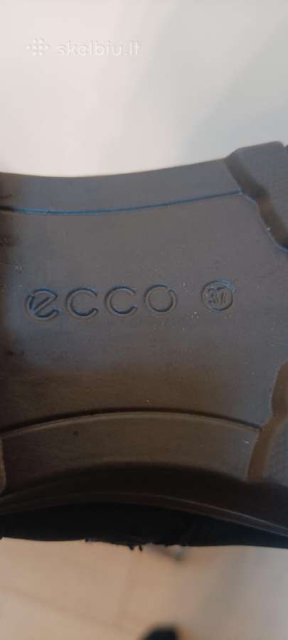 Ecco - nuotraukos Nr. 10