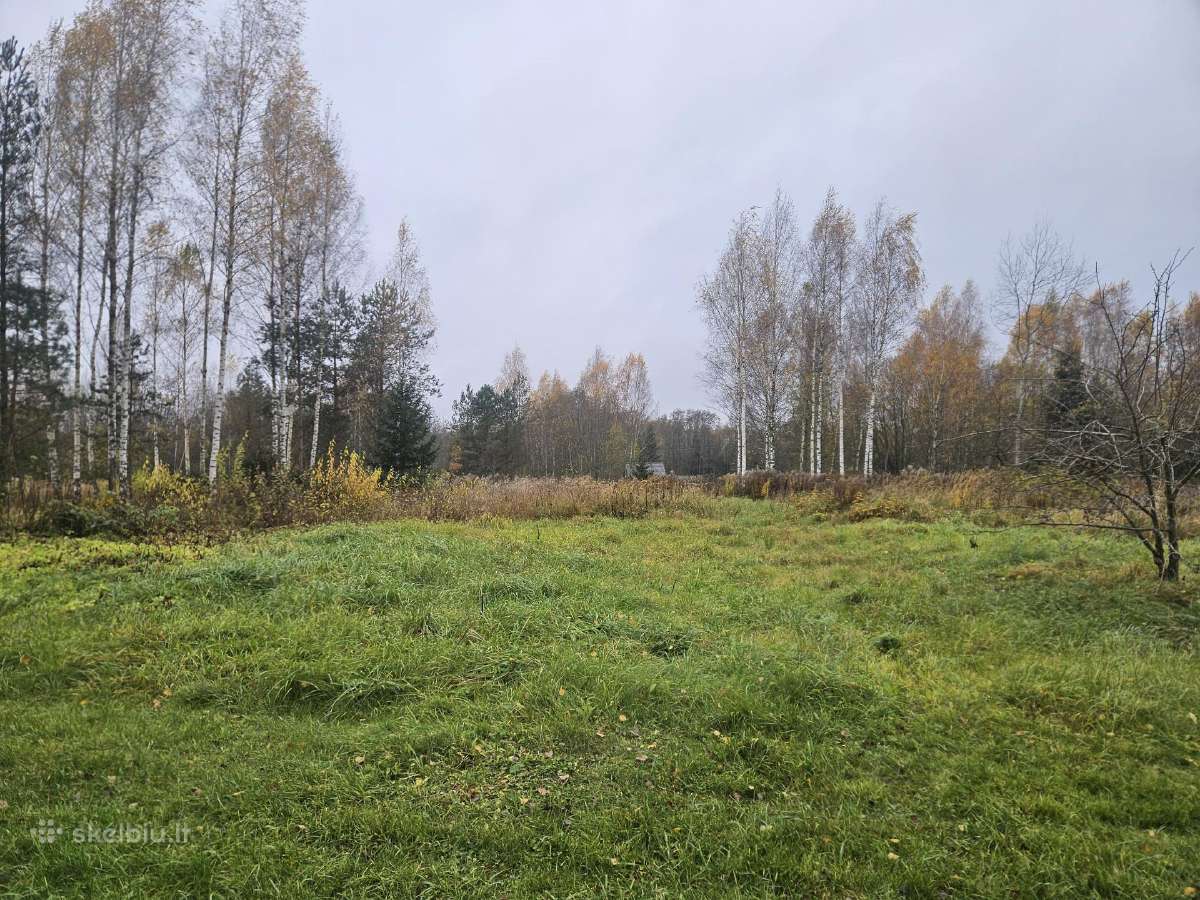Pardudami 3 sklypai viso 36a - nuotraukos Nr. 2