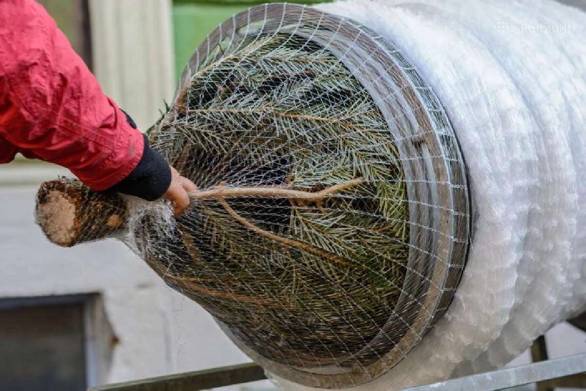 Eglių Eglučių pakavimo aparatas 55 tinklas tinklai - nuotraukos Nr. 2