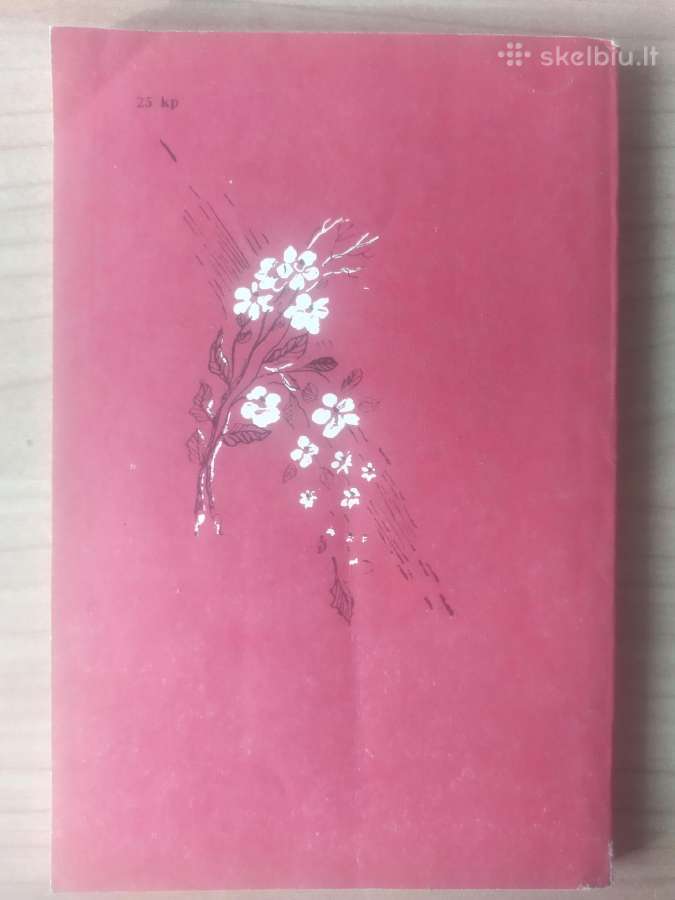 Birutė Vėlyvytė "Užsispyrėlis pianinas" - nuotraukos Nr. 3