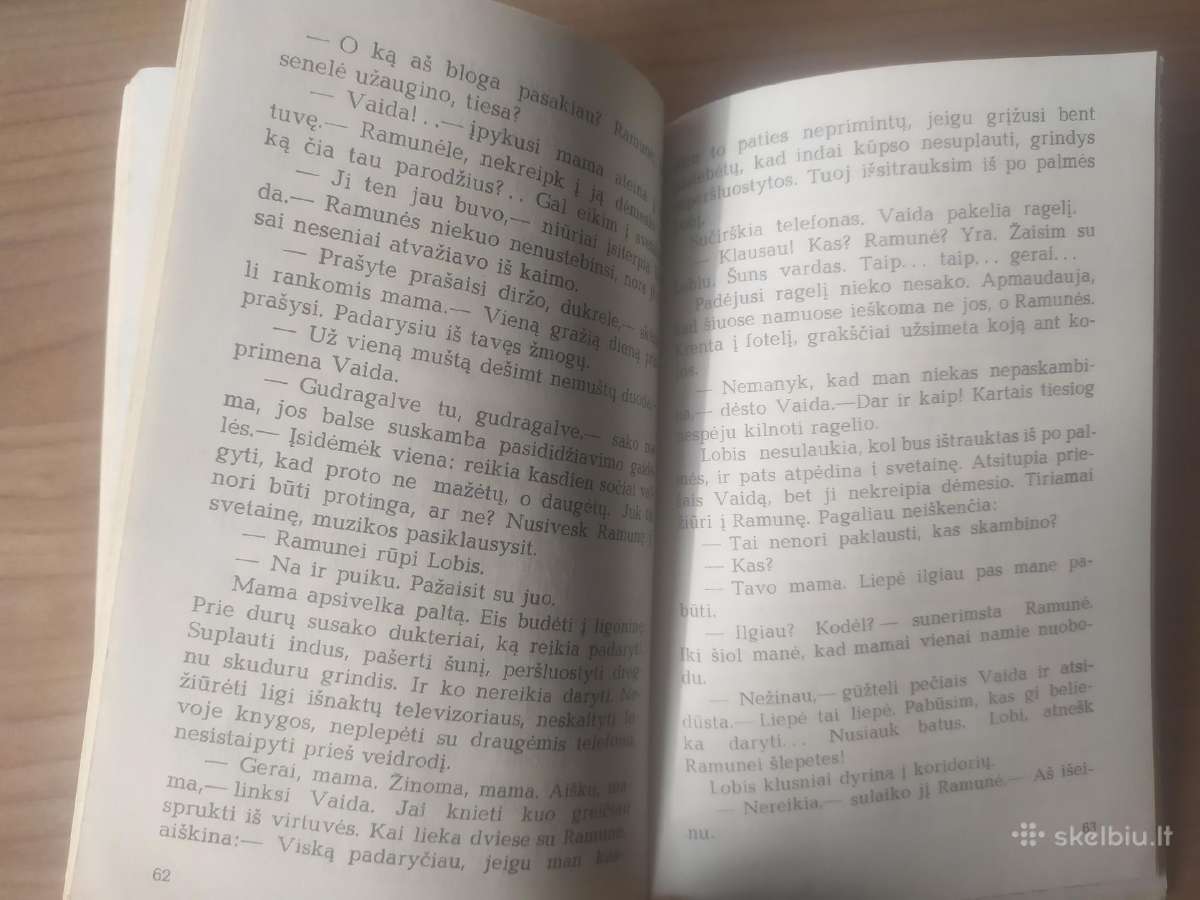 Birutė Vėlyvytė "Užsispyrėlis pianinas" - nuotraukos Nr. 6