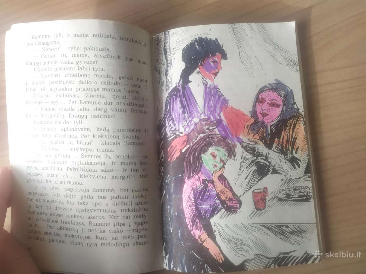 Birutė Vėlyvytė "Užsispyrėlis pianinas" - nuotraukos Nr. 7