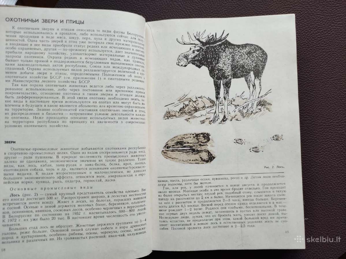 Medžiotojo patarėjas -1979 m. - nuotraukos Nr. 4