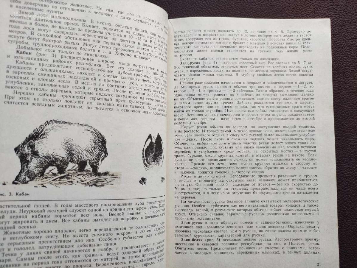 Medžiotojo patarėjas -1979 m. - nuotraukos Nr. 5