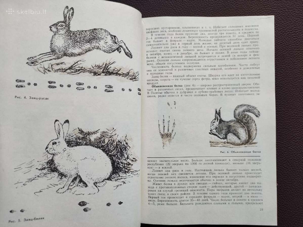 Medžiotojo patarėjas -1979 m. - nuotraukos Nr. 6