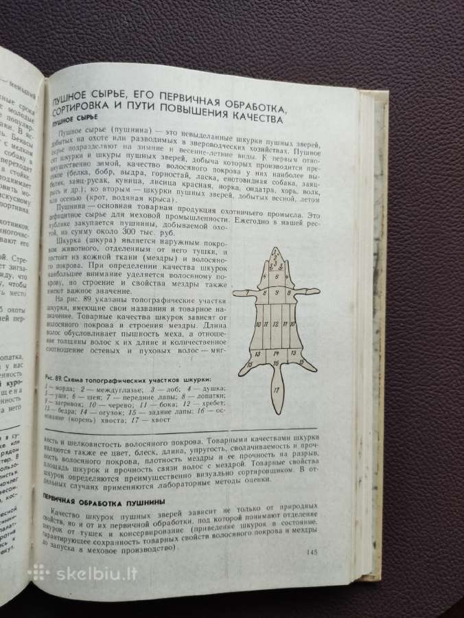 Medžiotojo patarėjas -1979 m. - nuotraukos Nr. 11