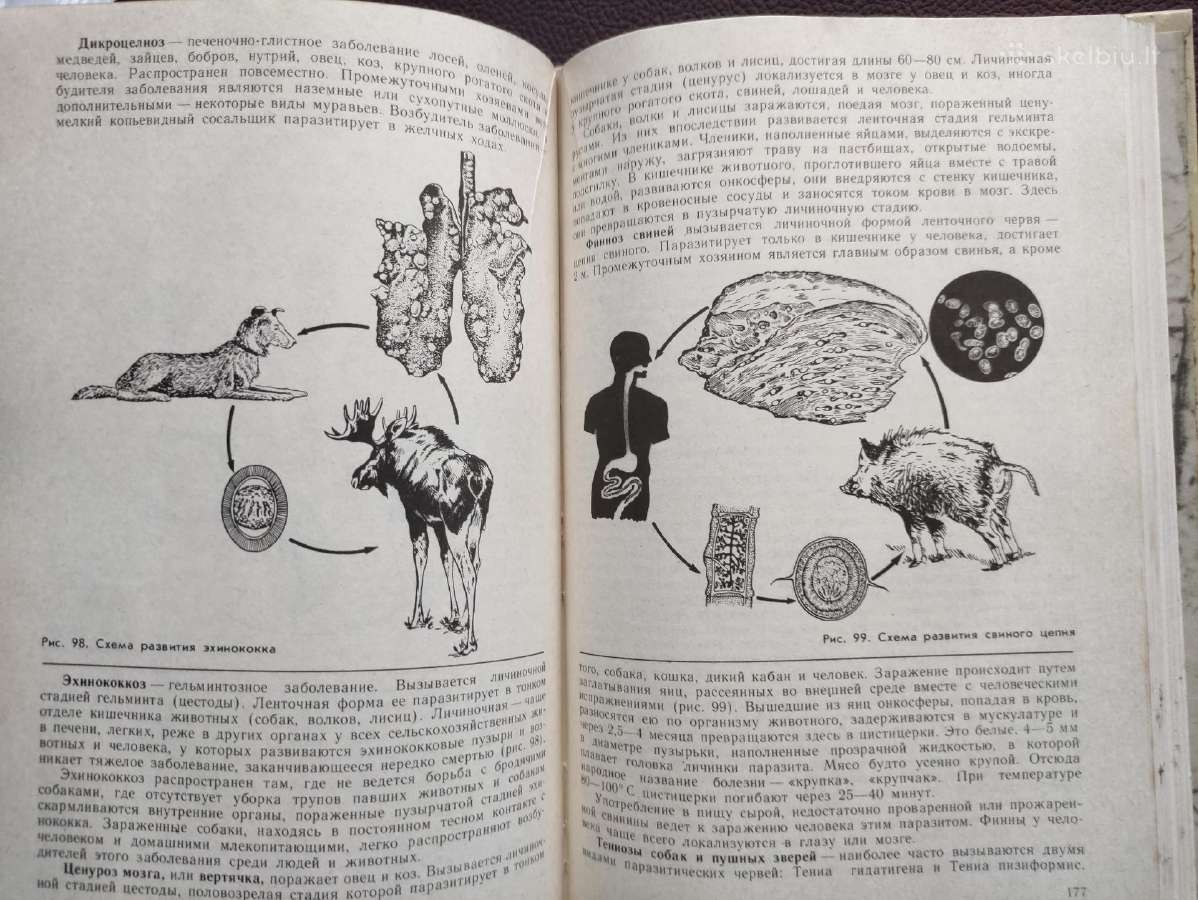 Medžiotojo patarėjas -1979 m. - nuotraukos Nr. 12