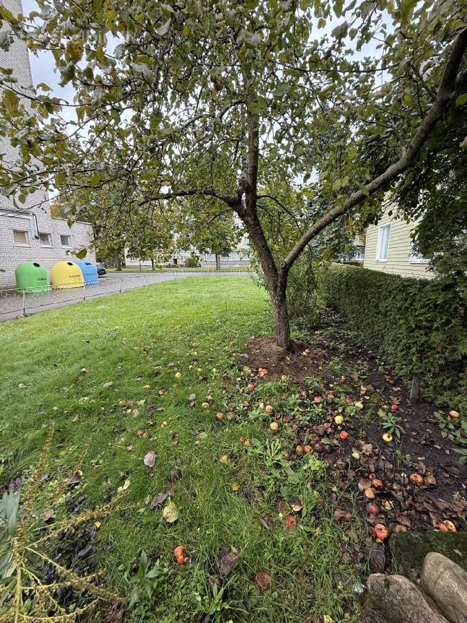 Parduodamas namas Skuodo Centre su planu verslui - nuotraukos Nr. 15