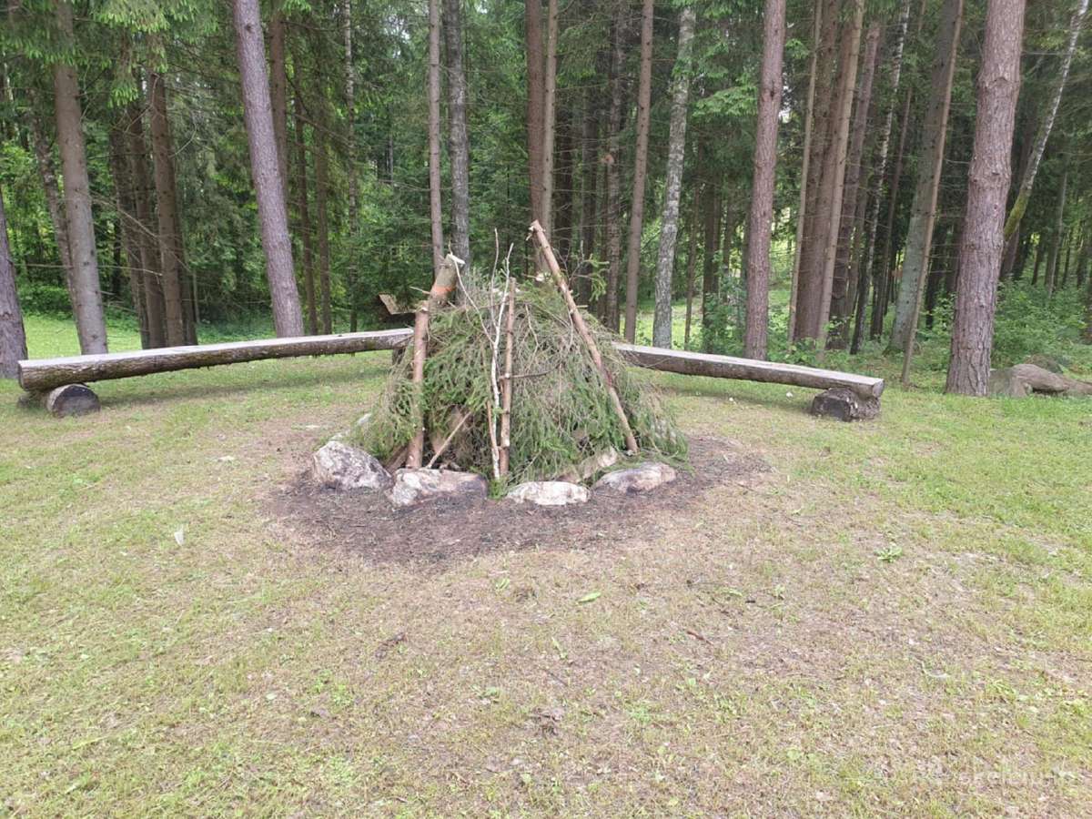 Sodybos nuoma Avietynės Sodyba - nuotraukos Nr. 24