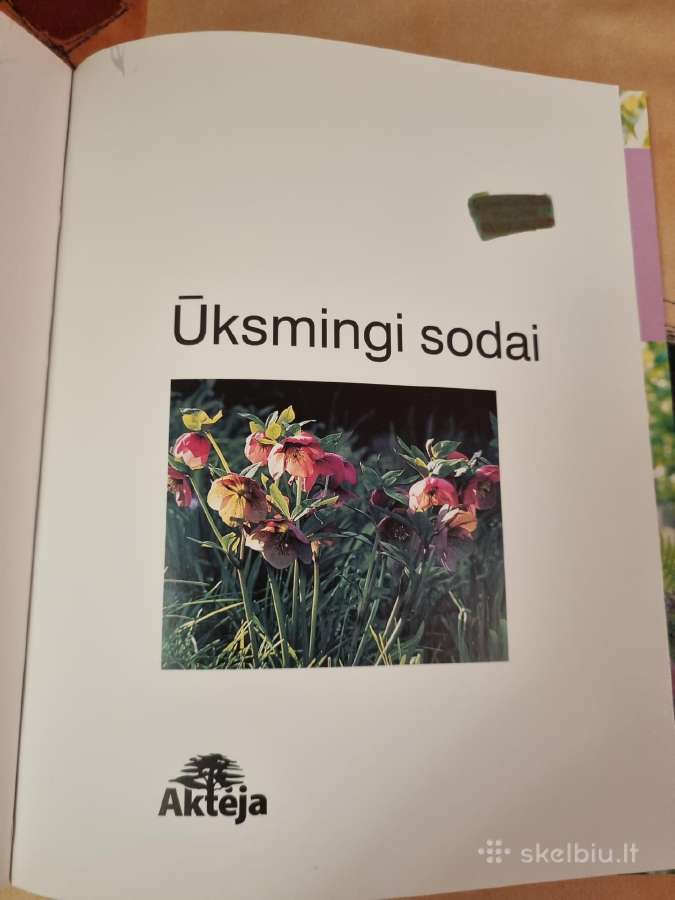 Ūksmingi sodai - nuotraukos Nr. 2