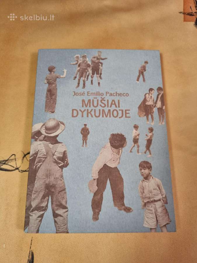 Mūšiai Dykumoje