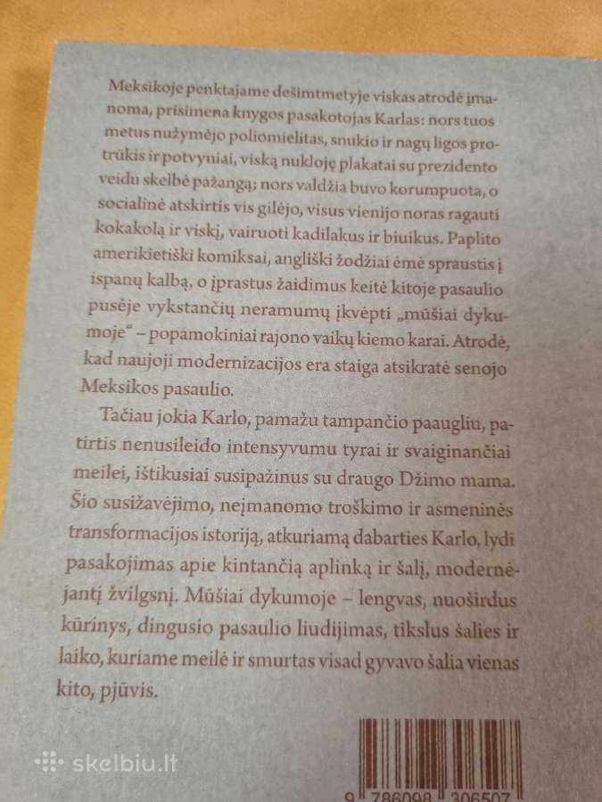 Mūšiai Dykumoje - nuotraukos Nr. 4