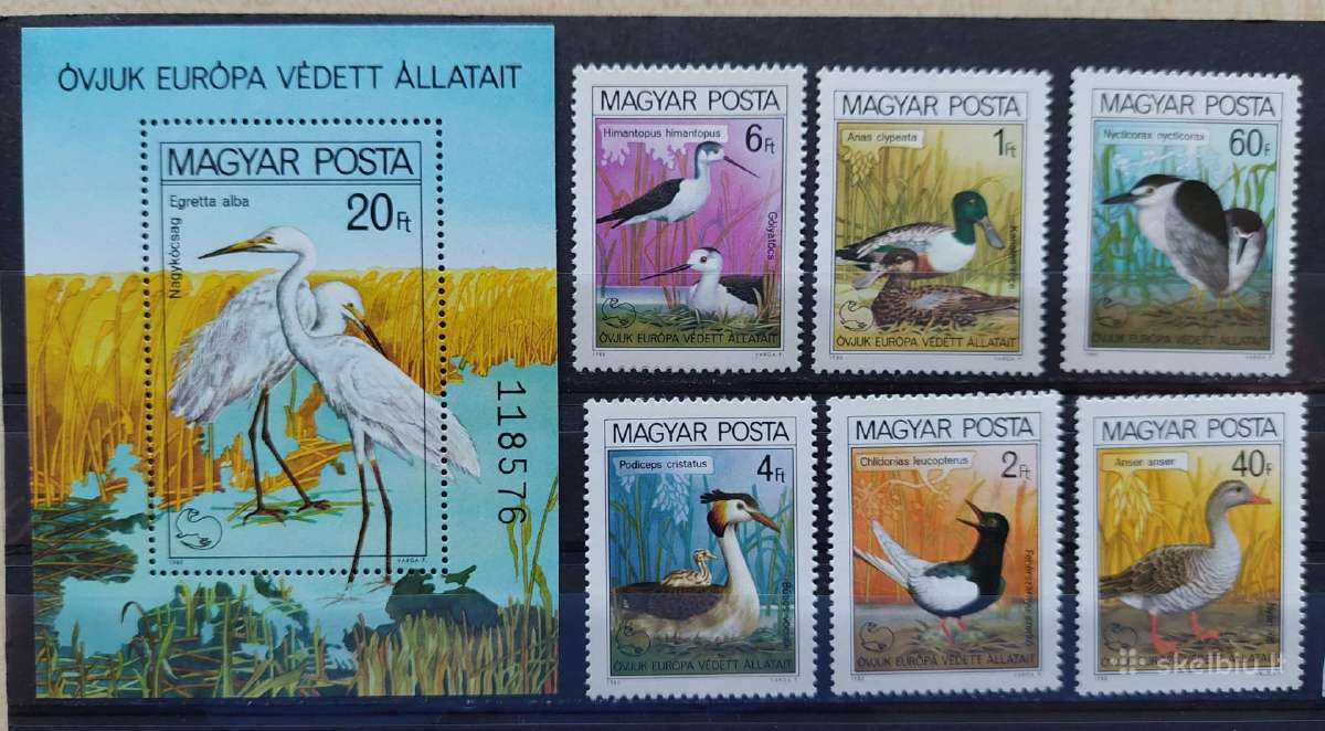 Vengrija 1980 paukščiai, švarus, Michel 3451a-3456