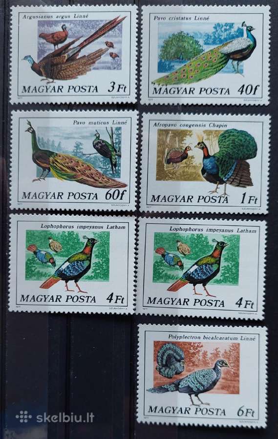 Vengrija 1977 paukščiai, švarus, Michel 3185a-3190