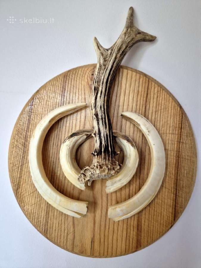 Šerno iltys