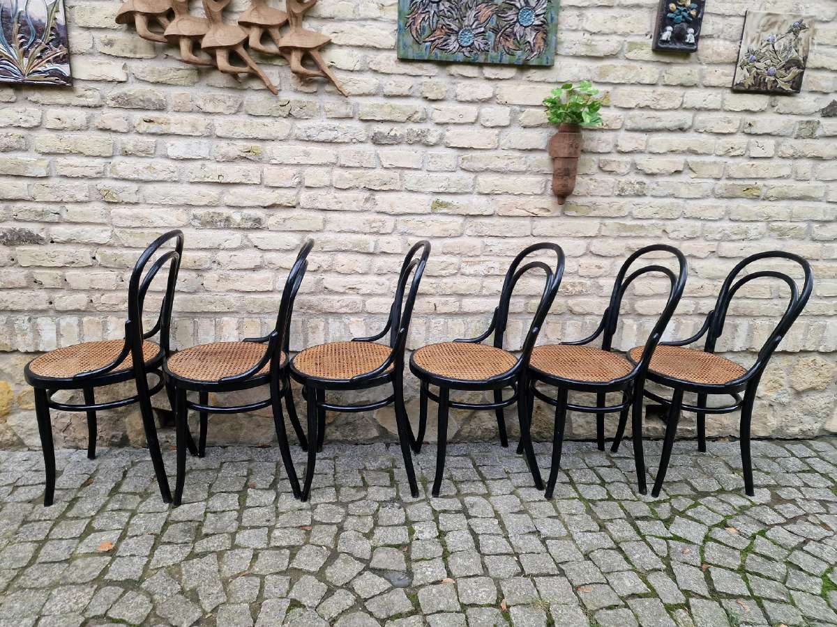 Vintažinės Art Nouveau Thonet nr. 14 kėdės - nuotraukos Nr. 7