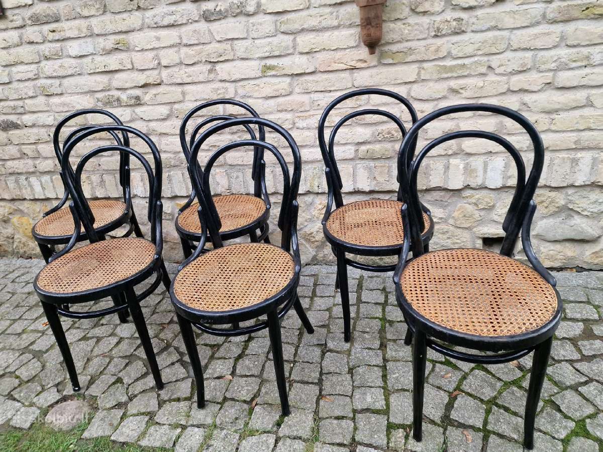 Vintažinės Art Nouveau Thonet nr. 14 kėdės - nuotraukos Nr. 20