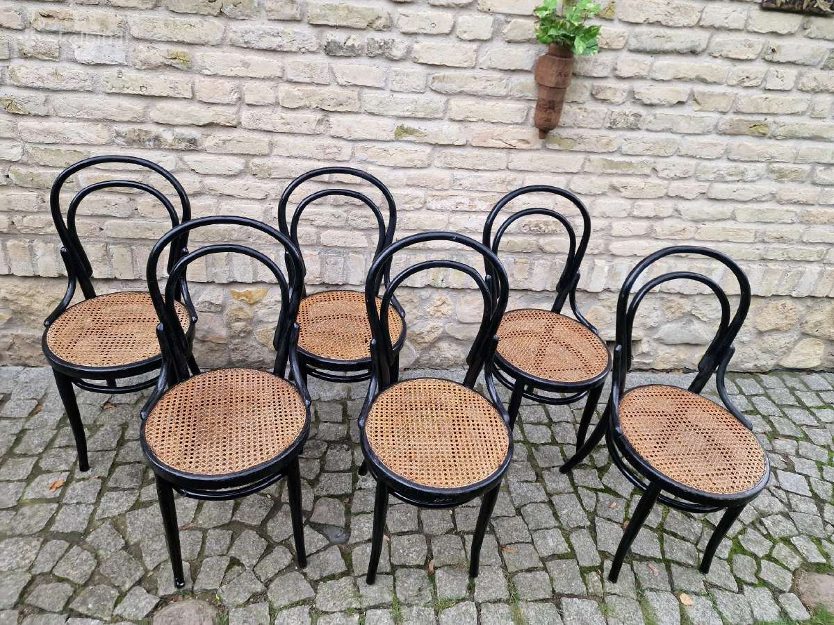 Vintažinės Art Nouveau Thonet nr. 14 kėdės - nuotraukos Nr. 21