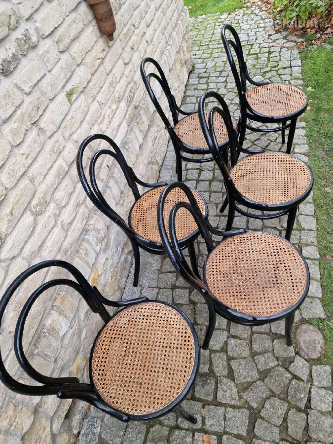 Vintažinės Art Nouveau Thonet nr. 14 kėdės - nuotraukos Nr. 23