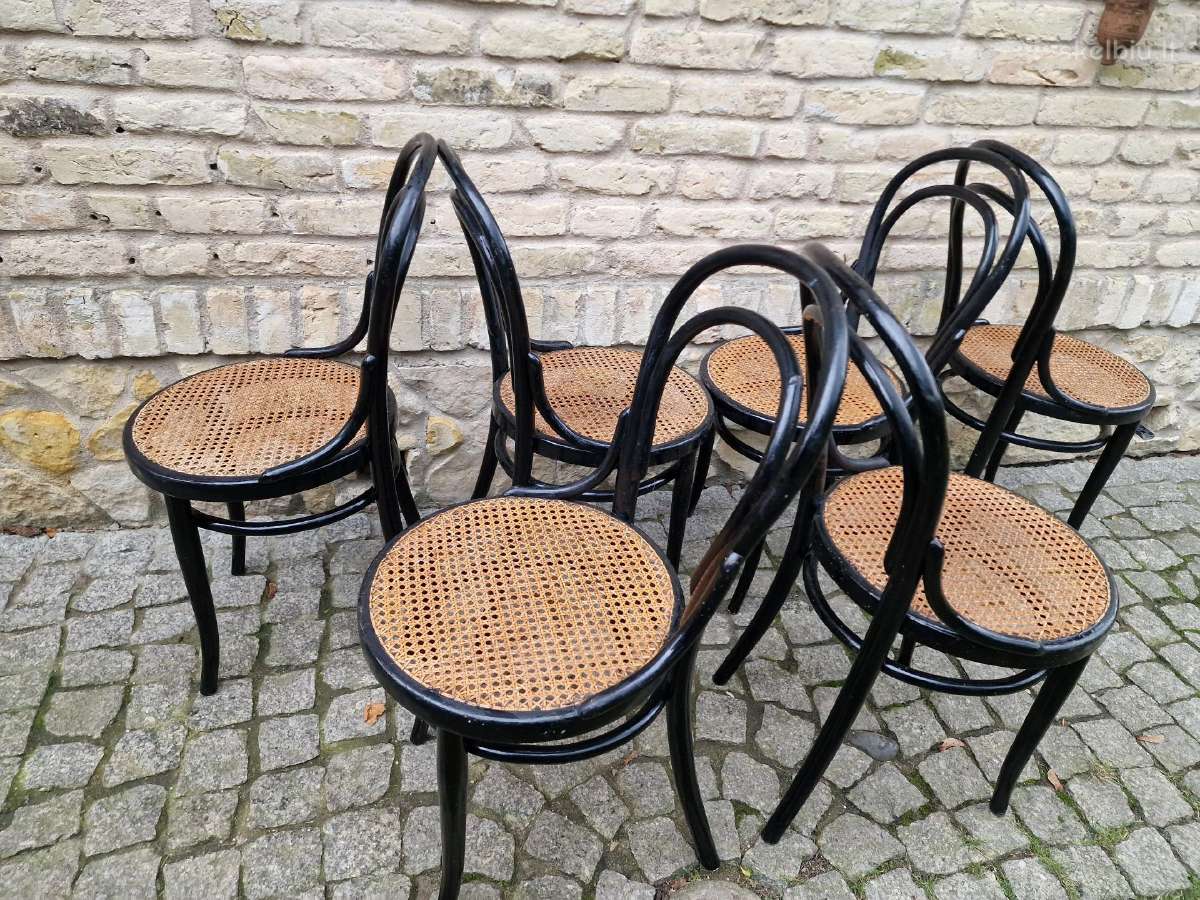 Vintažinės Art Nouveau Thonet nr. 14 kėdės - nuotraukos Nr. 26