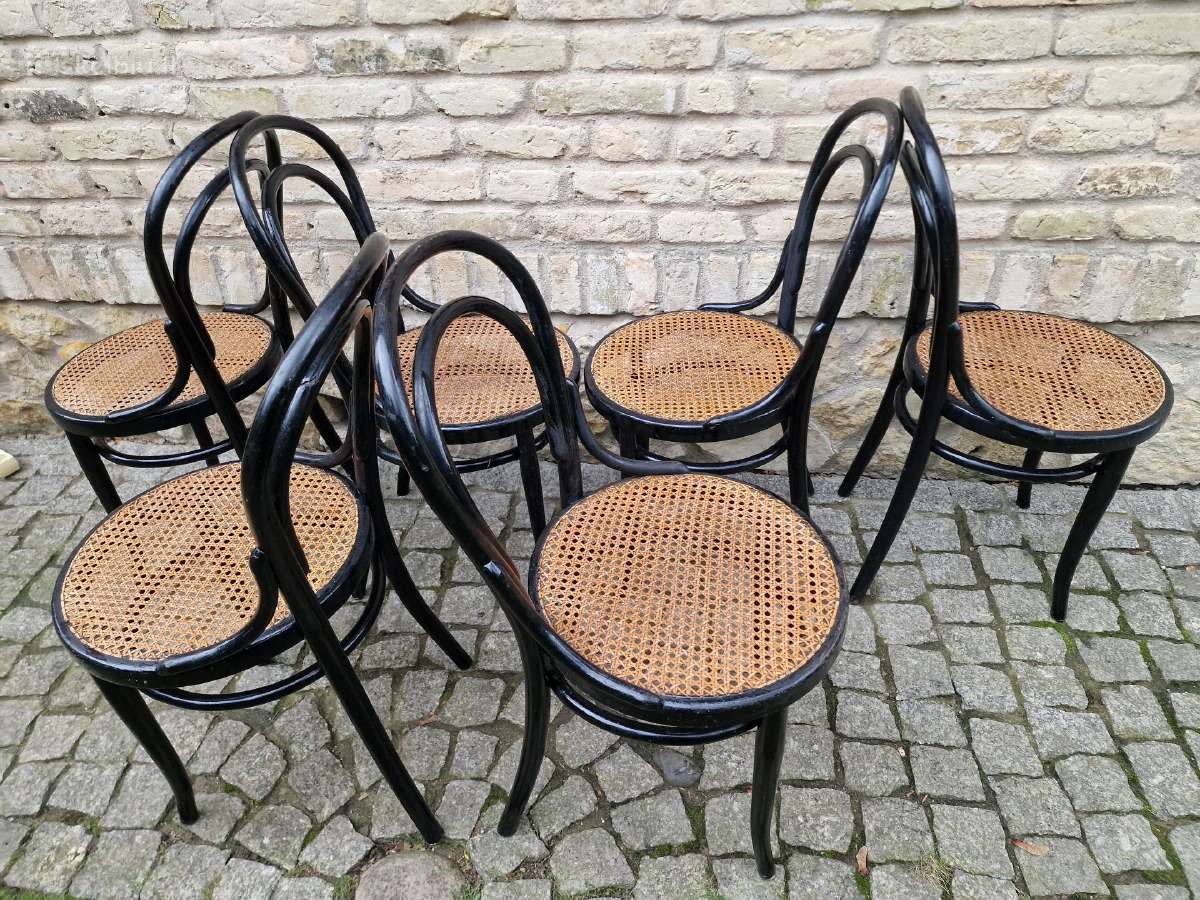 Vintažinės Art Nouveau Thonet nr. 14 kėdės - nuotraukos Nr. 29
