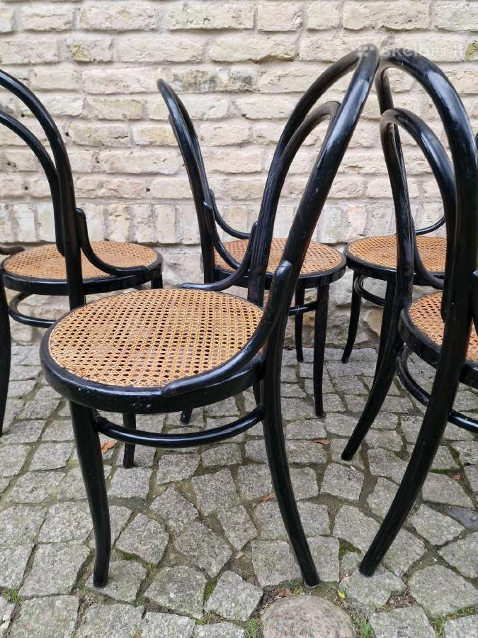 Vintažinės Art Nouveau Thonet nr. 14 kėdės - nuotraukos Nr. 32