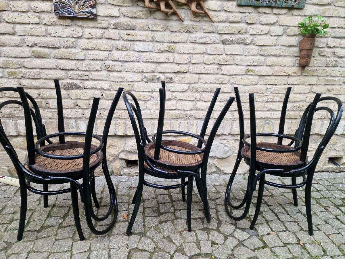 Vintažinės Art Nouveau Thonet nr. 14 kėdės - nuotraukos Nr. 34