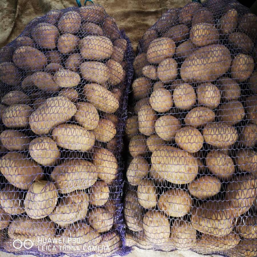 Parduodu Vineta maistines bulves